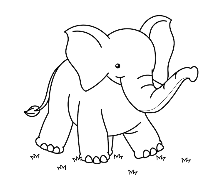 Hướng dẫn cách vẽ CON VOI tô màu CON VOI  How to draw an elephant   YouTube