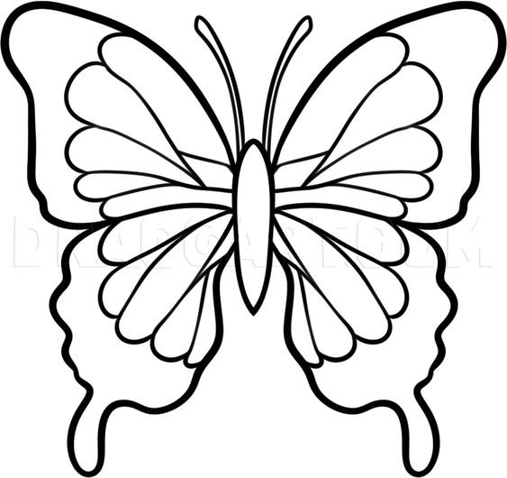 hình hình họa con cái bướm cho tới trẻ con tô màu