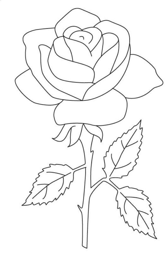hình hoa hồng tô màu