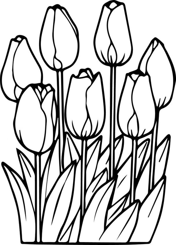bé tập tô màu hoa tulip