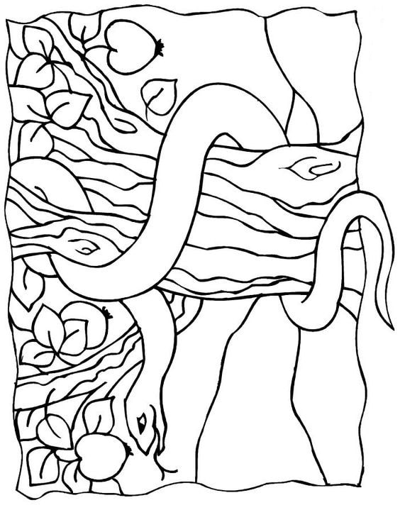 tải tranh tô màu con rắn trên cành cây