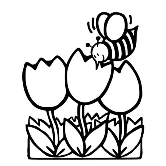 tô màu bông hoa tulip và chú ong