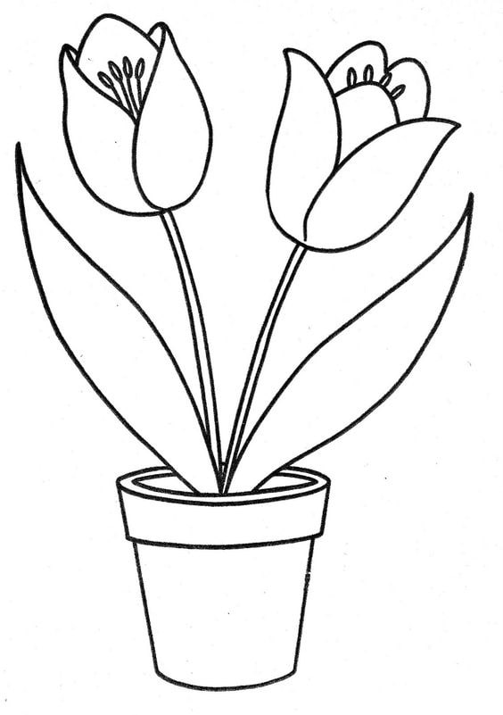 tô màu chậu hoa tulip