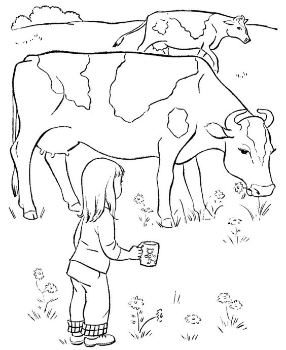tranh con bò sữa cho bé tô màu