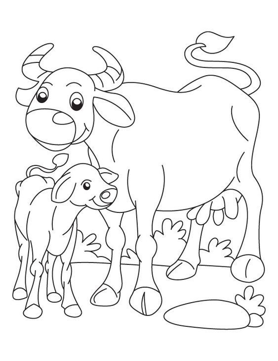 tranh tô màu các con bò