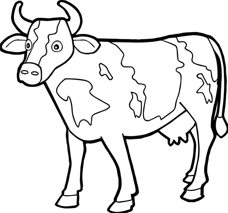 tranh tô màu con bò sữa