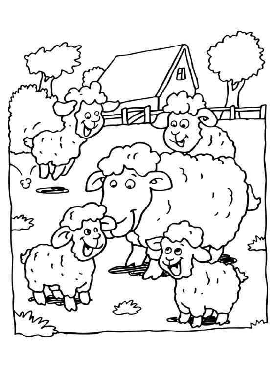 tranh tô màu con cừu ở nông trại