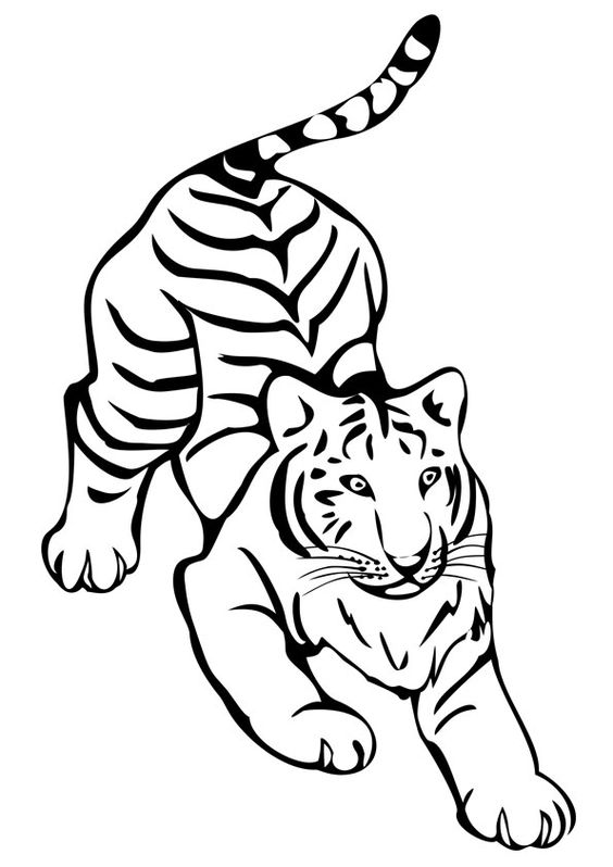 tranh tô màu con hổ rừng