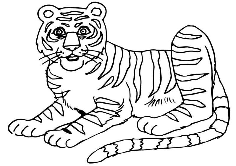 tranh tô màu con hổ