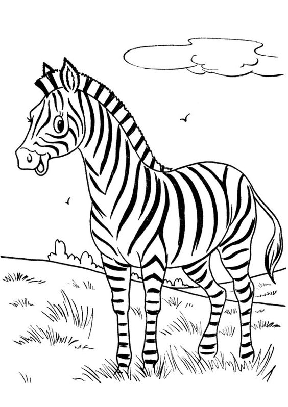 tranh tô màu con ngựa vằn trên đồng cỏ