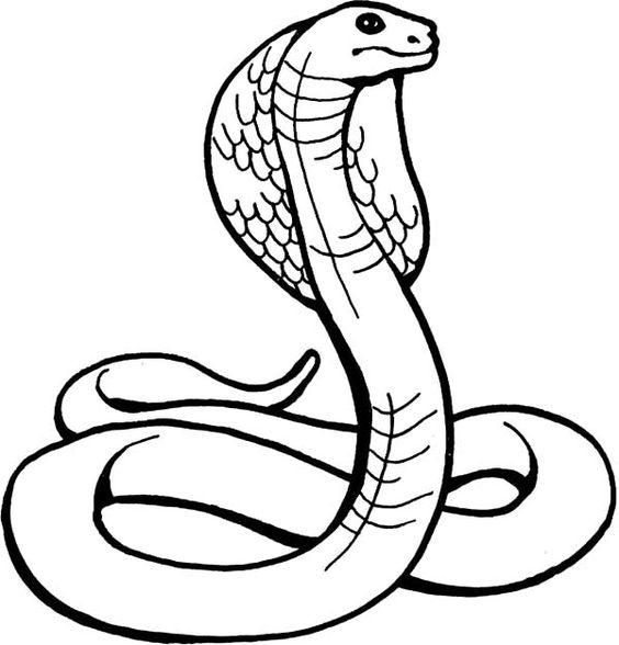 tranh tô màu con rắn hổ mang