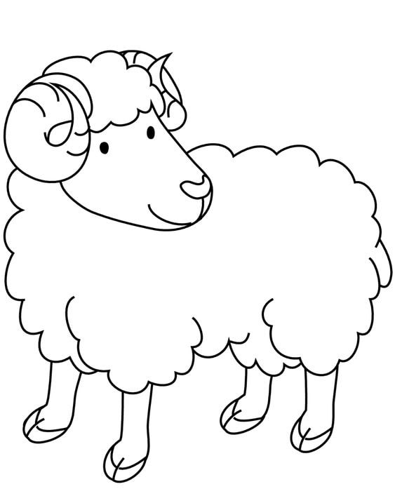 tranh tô màu hình con cừu