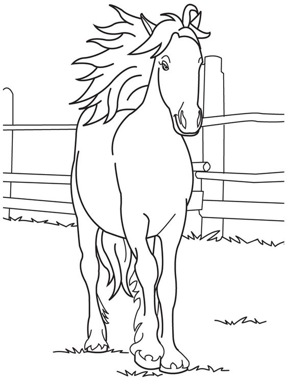 tranh tô màu hình con ngựa