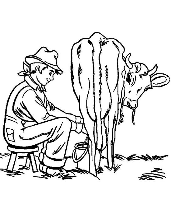 tranh tô màu bác nông dân vắt sữa bò
