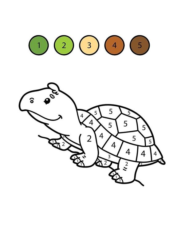bé tập tô tranh tô màu theo số con rùa