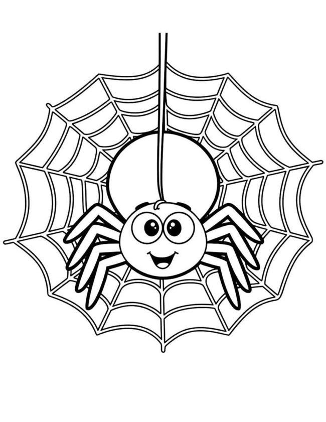 Hình con nhện tô màu đẹp
