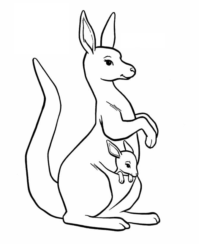 tô màu sắc con cái loài chuột túi kangaroo ngộ nghĩnh