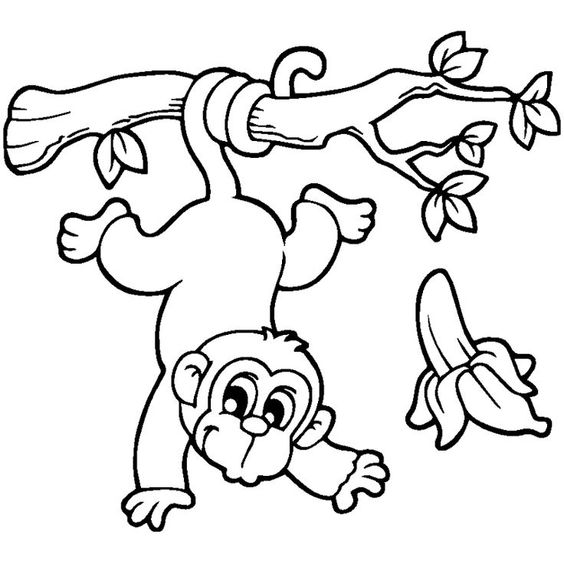 tranh tô màu con khỉ đu cây