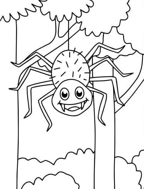 tranh tô màu con nhện đu cây