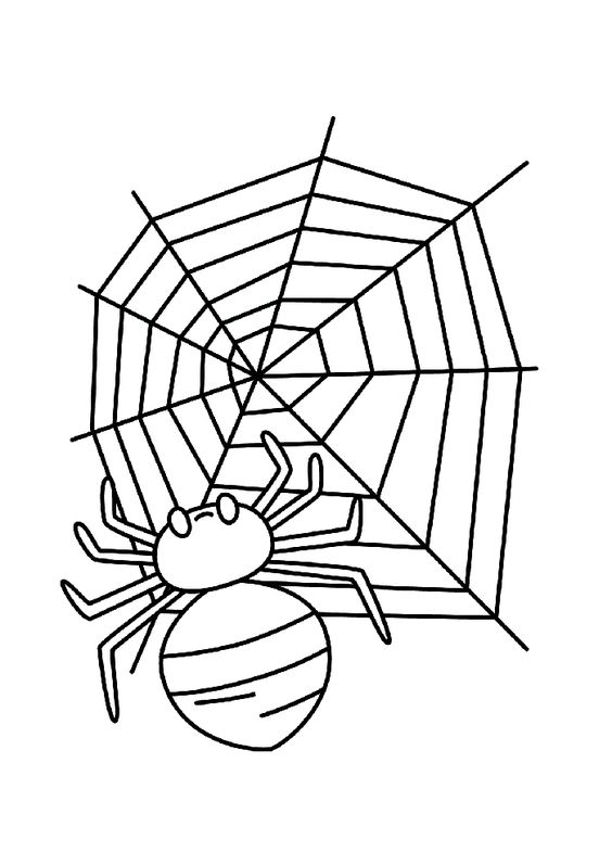tranh tô màu con nhện giăng tơ