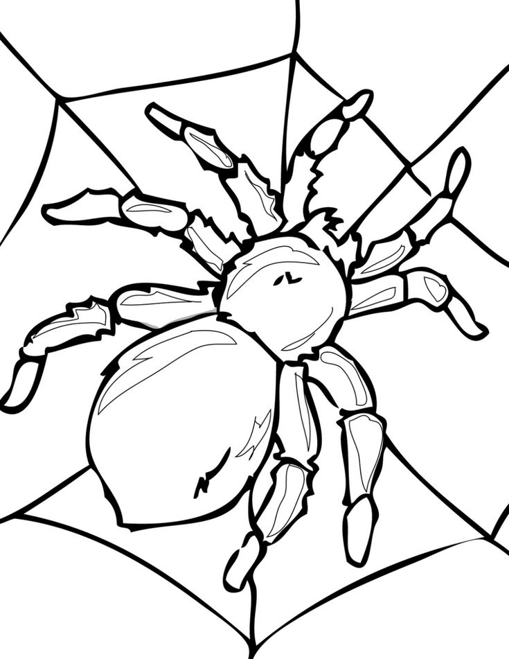 tranh tô màu con nhện khổng lồ
