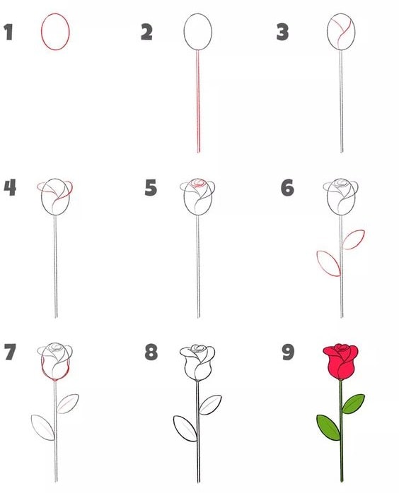 các bước vẽ hoa hồng đơn giản
