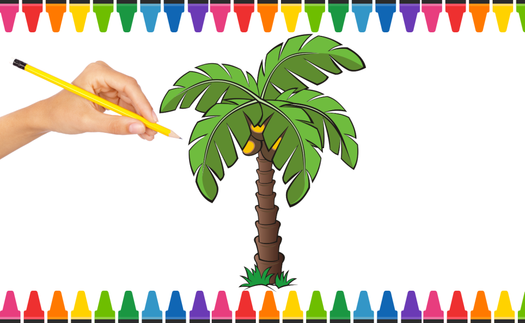 cách vẽ cây dừa