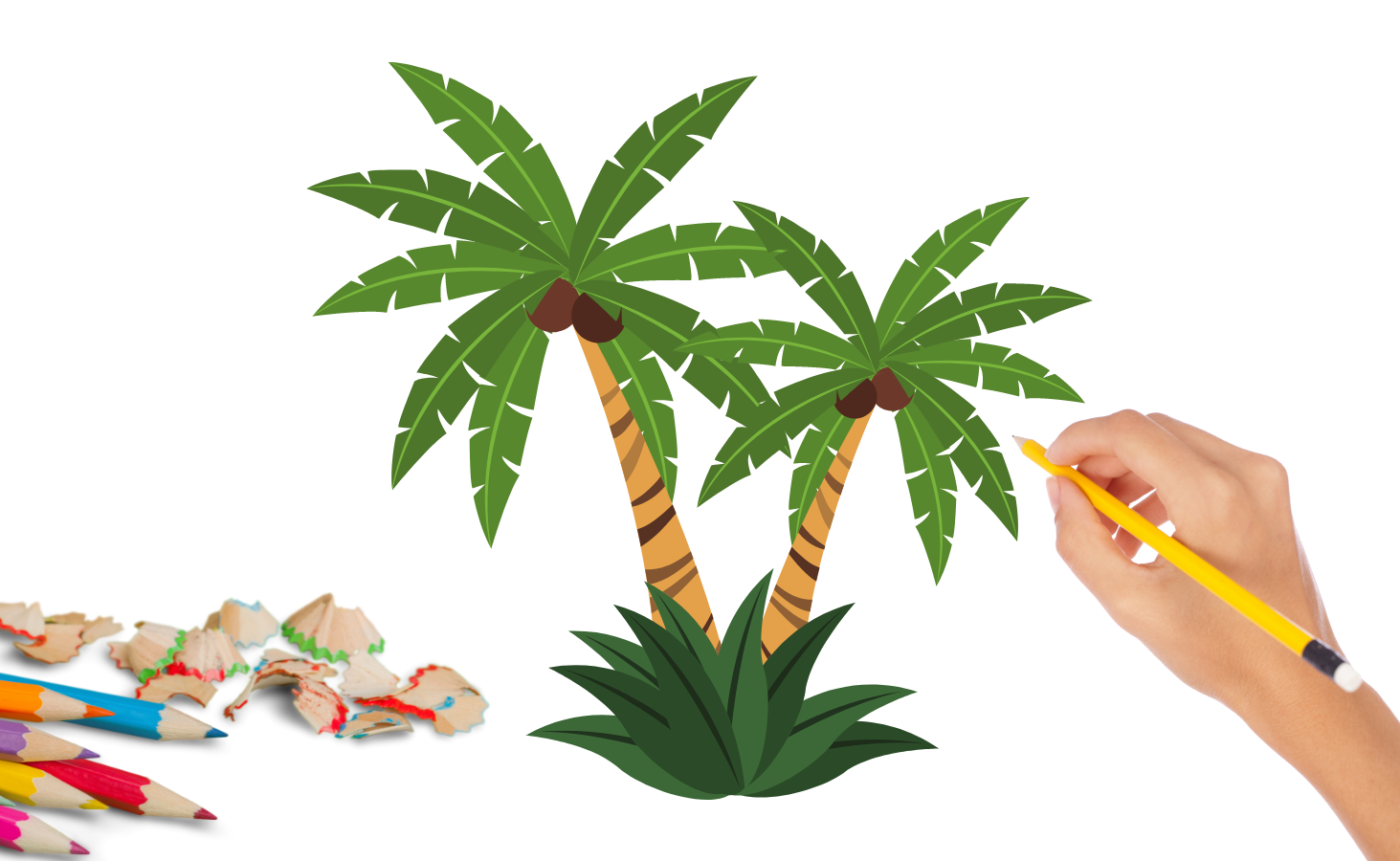 cách vẽ cây dừa đơn giản ở biển