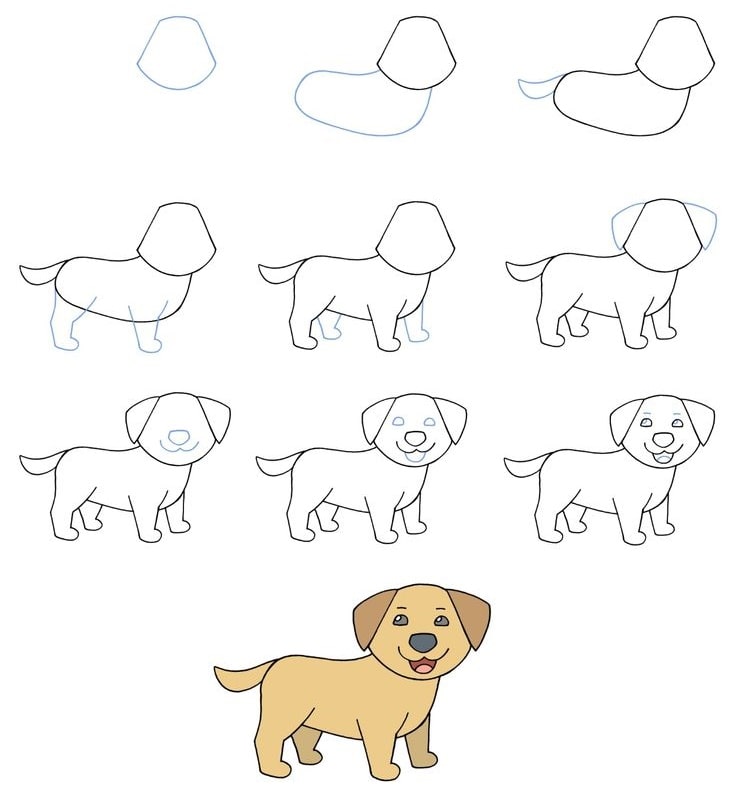 cách vẽ con chó đẹp nhất