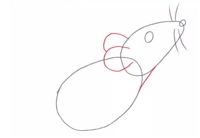 cách vẽ con chuột bước 4