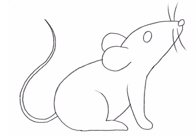 cách vẽ con chuột bước 8
