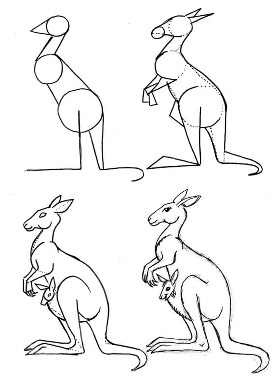 cách vẽ con chuột túi đơn giản