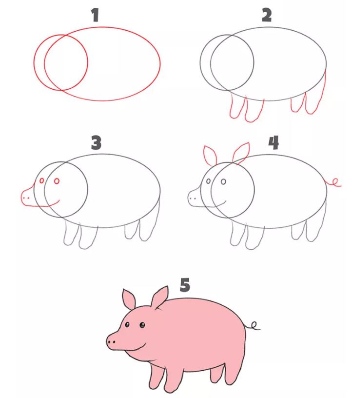Cách vẽ con lợn đơn giản  Vẽ con heo dễ thương  YouTube
