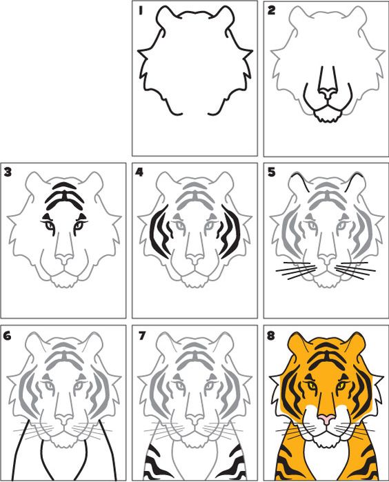 cách vẽ con hổ đơn giản nhất