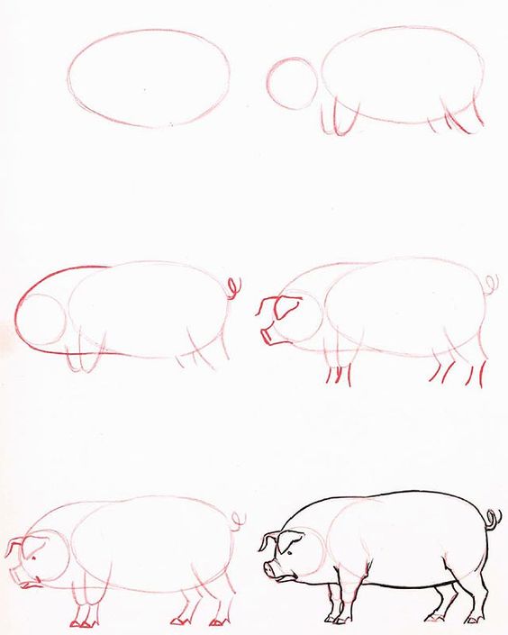 cách vẽ con lợn đơn giản nhất
