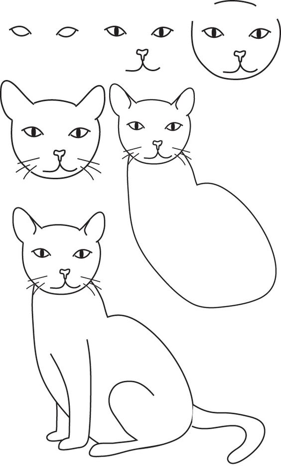 cách vẽ con cái mèo đang được đứng