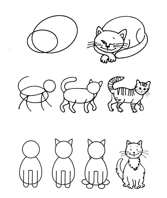cách vẽ con cái mèo đẹp tuyệt vời nhất mang lại bé