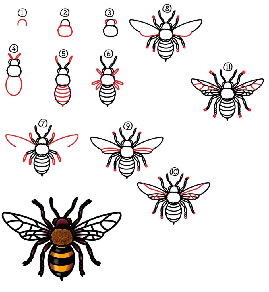 cách vẽ con ong đơn giản