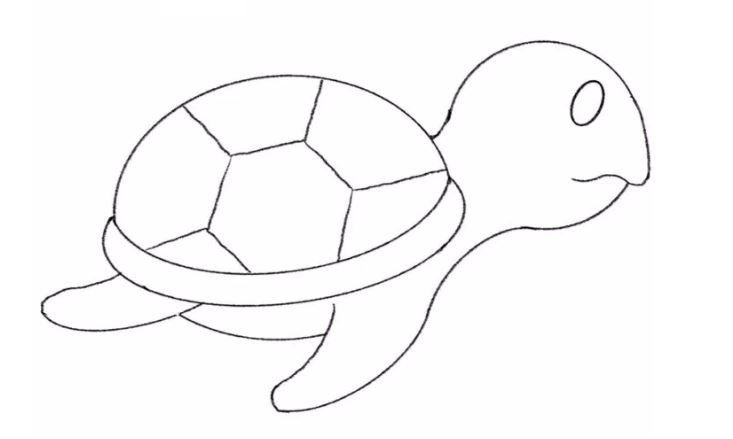 cách vẽ con rùa bước 8