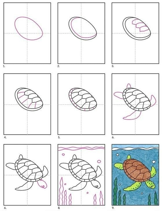 cách vẽ con rùa đang bơi