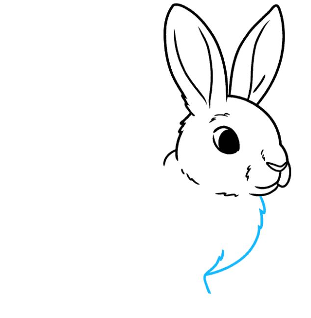 cách vẽ con thỏ bước 5