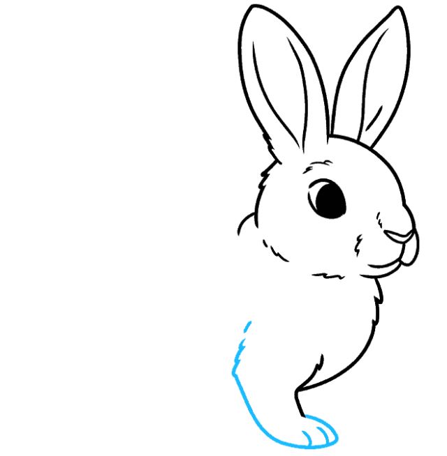 cách vẽ con thỏ bước 6