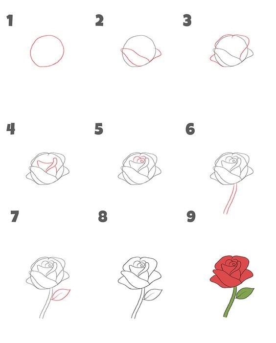 cách vẽ hoa hồng dễ nhất