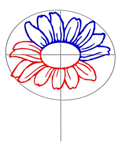 cách vẽ hoa hướng dương bước 3