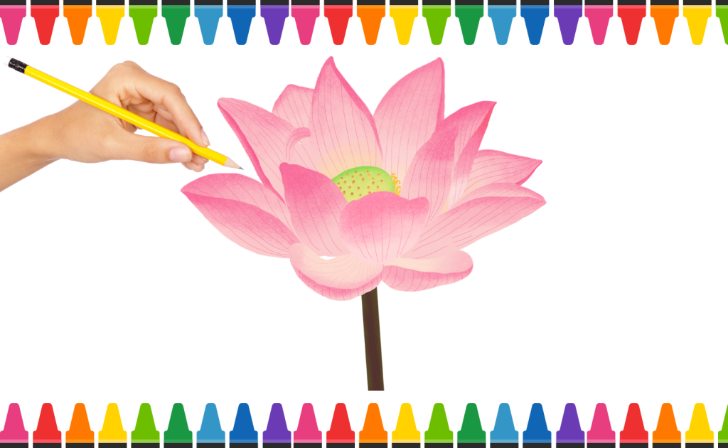 cách vẽ hoa sen đơn giản bằng bút chì