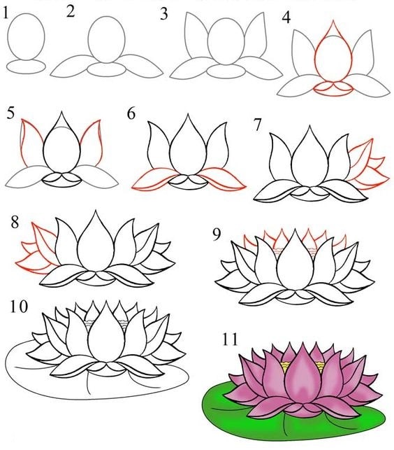 cách vẽ hoa sen đơn giản dễ nhất