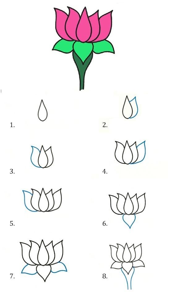 cách vẽ hoa sen đơn giản nhất
