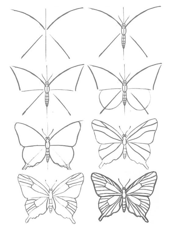 cách vẽ họa tiết con bướm