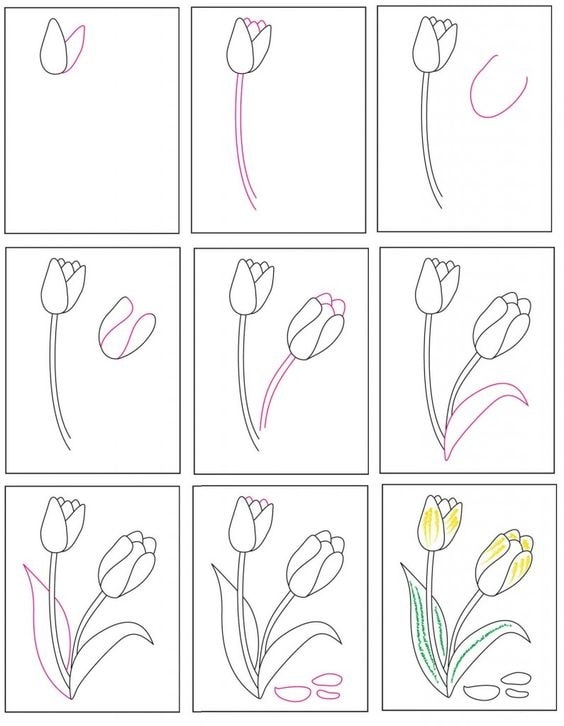 cách vẽ hoa tulip đơn giản