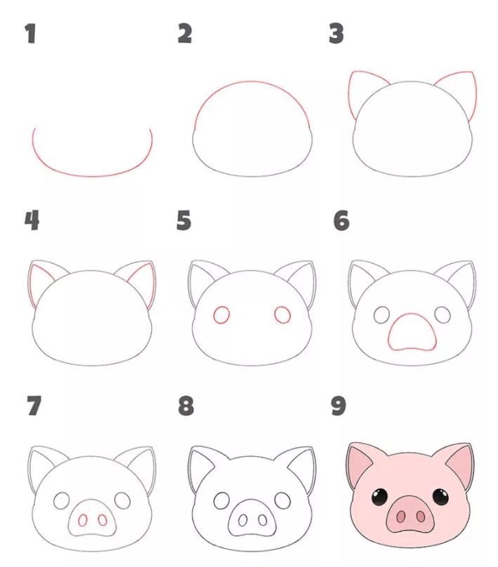 cách vẽ mặt con lợn